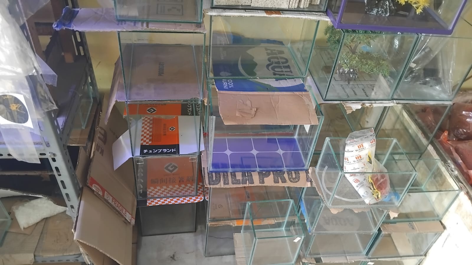 akuarium segi4